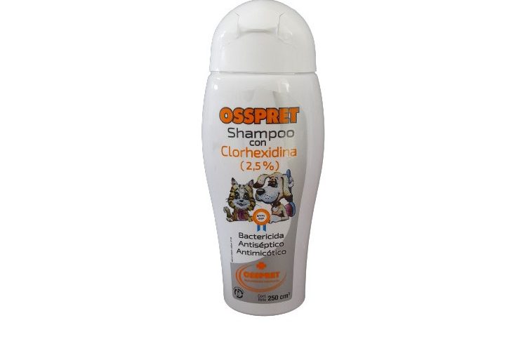 SHAMPOO CLORHEXIDINA X 250CC (48XØ)