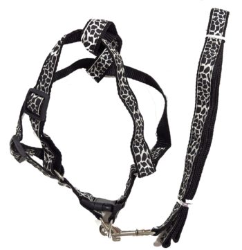 CONJUNTO CORREA PRETAL AJUSTABLE GDE BORDADO ARF