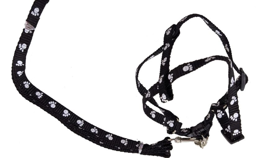 CONJUNTO CORREA PRETAL AJUSTABLE NYLON CHICO ARF