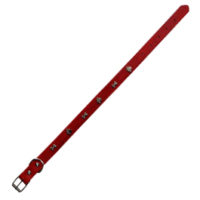COLLAR DE CUERO HUESO Y HUELLA M (46CM X 2CM) ARF