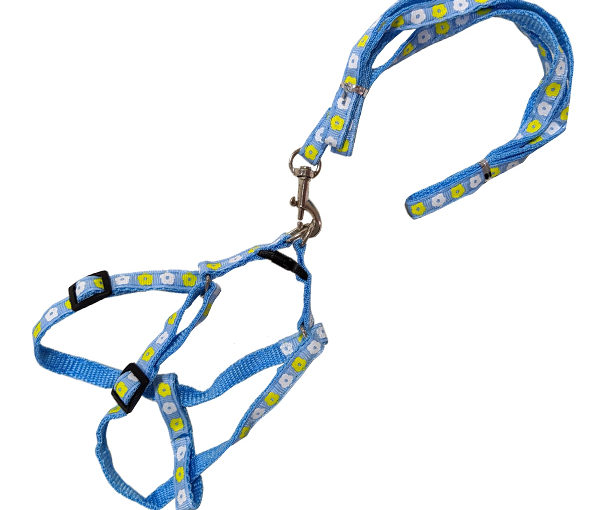 CONJUNTO CORREA PRETAL AJUSTABLE CHICO BORDADO ARF