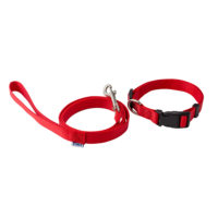 CORREA CON COLLAR CHICO ARF