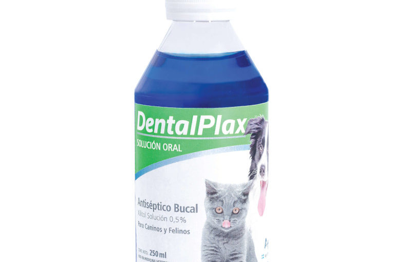 DENTAL PLAX