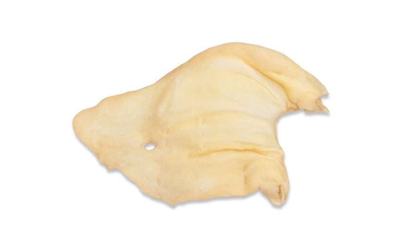 BONEX OREJA DE VACA
