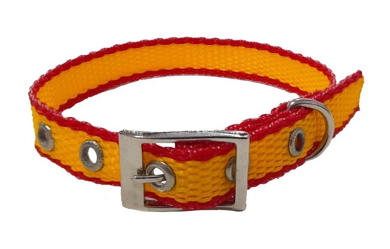 COLLAR GATO 30 CM