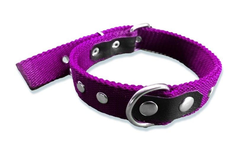 COLLAR DOBLE C/ TACHAS SUPER GRANDE 65CM