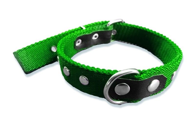 COLLAR DOBLE C/ TACHAS GRANDE 59CM