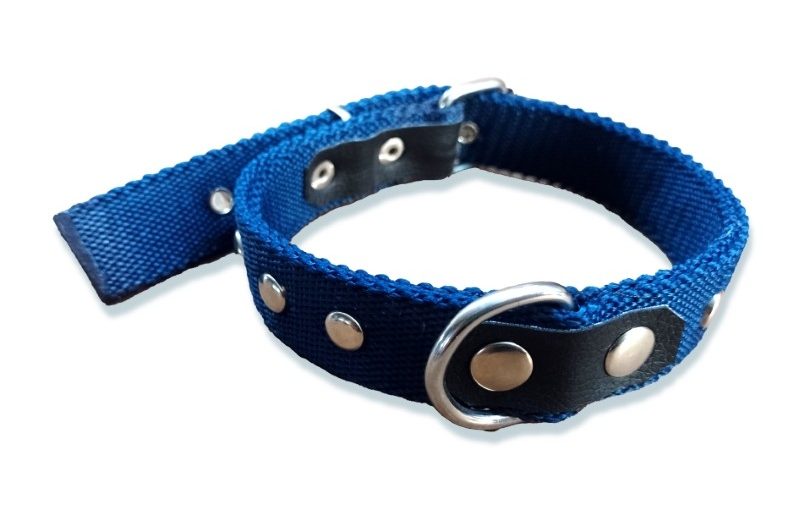 COLLAR DOBLE C/TACHAS CHICO
