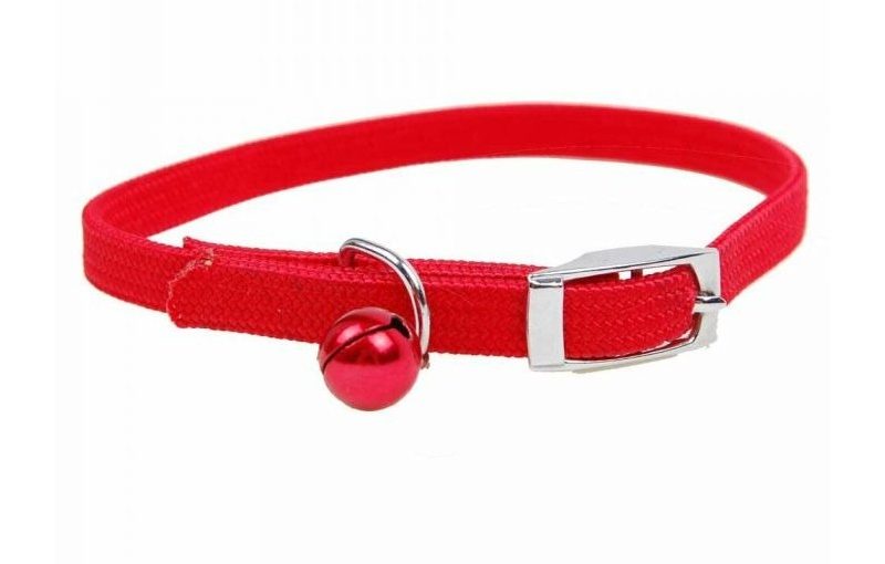 COLLAR GATO CON CASCABEL