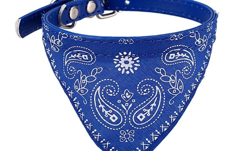 COLLAR DE CUERO CON PAÑUELO GRANDE 2x43cm