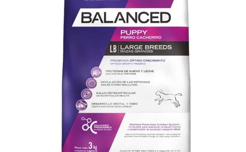 BALANCED PERRO CACHORRO RAZA GRANDE X 1, 3, 15 o 20 KG
