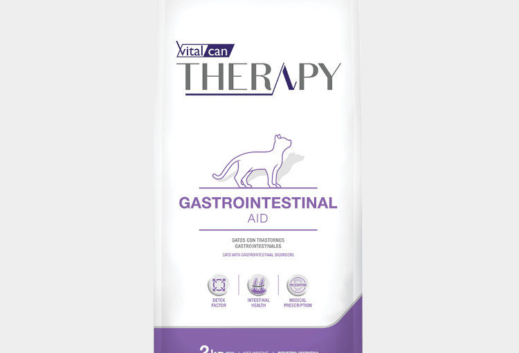 THERAPY FELINE GASTROINTESTINAL A X 2 KG