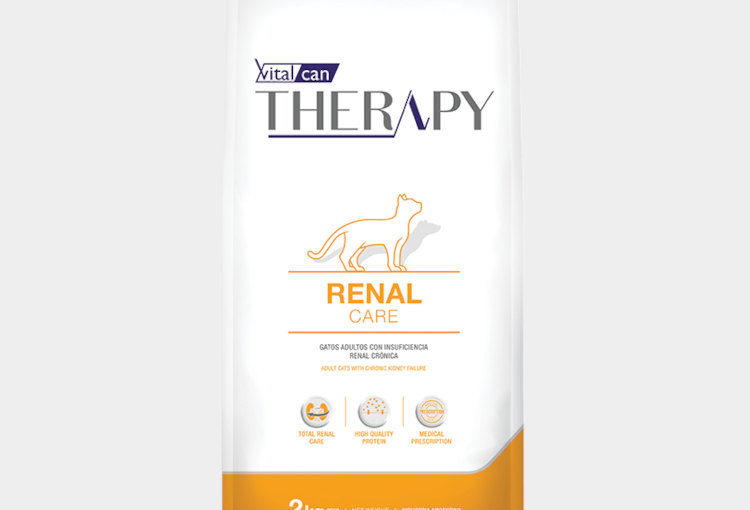 THERAPY FELINE RENAL CARE X 2 KG
