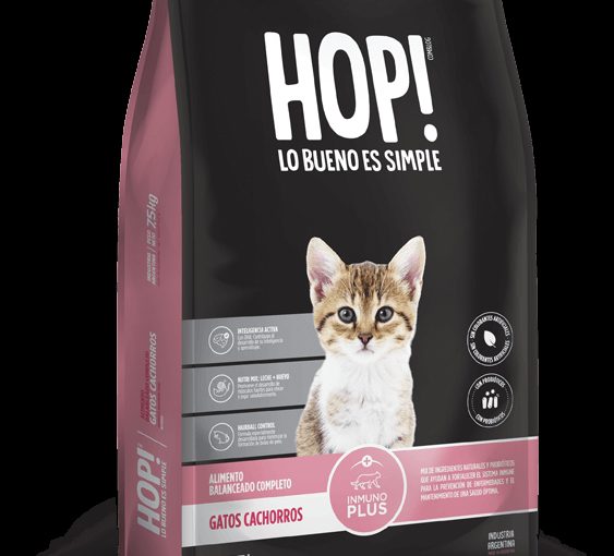 GATO KITTEN X 0.5, 1 o 7,5 KG (24xBOLSON)