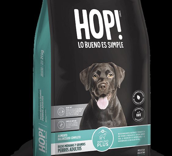 PERRO ADULTO RAZA MED Y GRANDE X 1, 3, 7.5 y 21 KG (18xBOLSON)