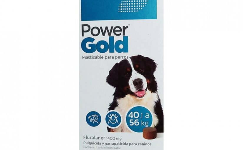 POWER GOLD de 40,1 a 56 kg