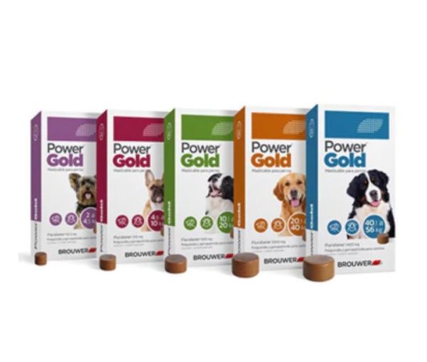 DISPENSER DISPLAY POWER GOLD – 2 ESTUCHES POR PRES
