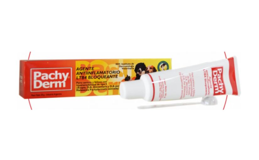 PACHY DERM 100 X 30 GRS