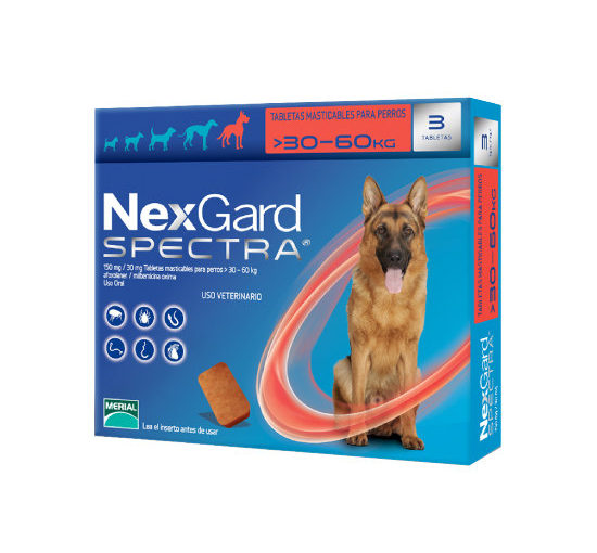 NEXGARD SPECTRA XL 30,1 – 60 KG (8G) GG – MASTICABLE