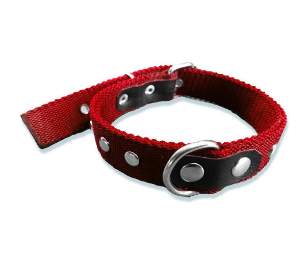 COLLAR DOBLE C/TACHAS MEDIANO