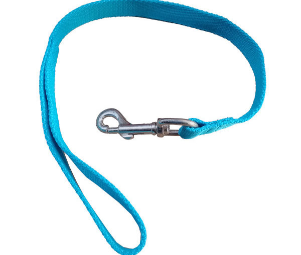 CORREA 312 NYLON (2.5cm ancho x 38,5cm largo)