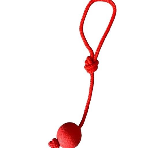 JUGUETE PELOTA MACIZA CHICA CON SOGA ARF