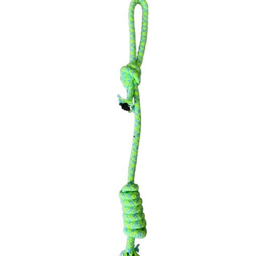 JUGUETE SOGA RESORTE UN ASA 42CM ARF