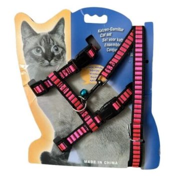 CONJUNTO CORREA PRETAL GATO AJUSTABLE CHICO ARF