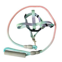 CONJUNTO CORREA ALPINISTA RESISTENTE + PRETAL MEDIANO ARF