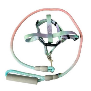 CONJUNTO CORREA ALPINISTA RESISTENTE + PRETAL MEDIANO ARF