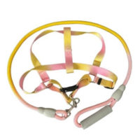 CONJUNTO CORREA ALPINISTA RESISTENTE + PRETAL GRANDE ARF