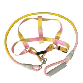 CONJUNTO CORREA ALPINISTA RESISTENTE + PRETAL GRANDE ARF