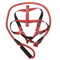 CONJUNTO CORREA PRETAL REFORZADO REFRACTARIO GRANDE ARF