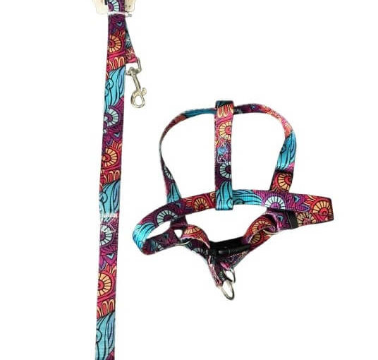 CONJUNTO CORREA PRETAL SUBLIMADO MEDIANO ARF