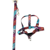 CONJUNTO CORREA PRETAL SUBLIMADO MEDIANO ARF