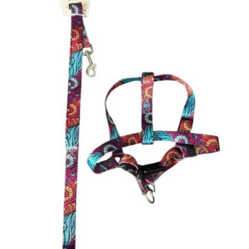 CONJUNTO CORREA PRETAL SUBLIMADO MEDIANO ARF