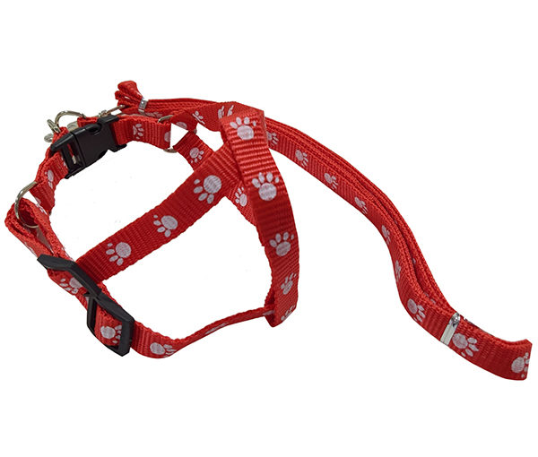 CONJUNTO CORREA PRETAL AJUSTABLE NYLON MED ARF