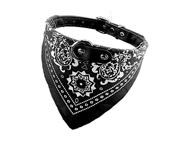 COLLAR PERRO C/PAÑUELO MEDIANO (2 X 45 CM) X 6 UDS ARF