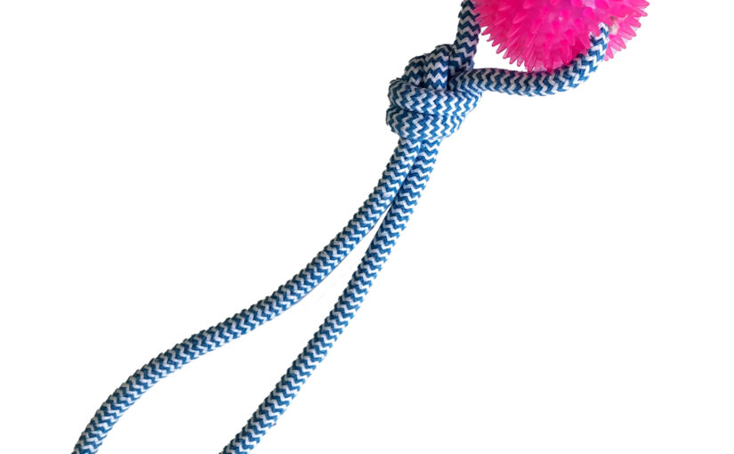 JUGUETE SOGA CON PELOTA CON PUAS 38 CM ARF