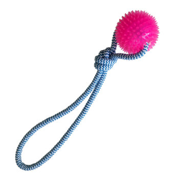 JUGUETE SOGA CON PELOTA CON PUAS 38 CM ARF