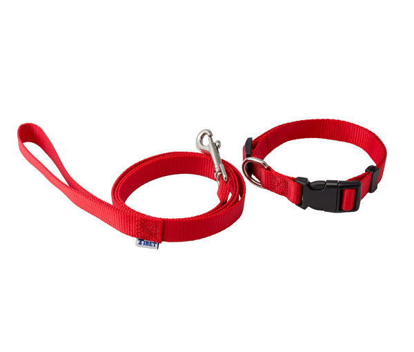 CORREA CON COLLAR CHICO ARF