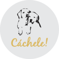 CACHELE PETS