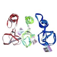ARNES AJUSTABLE CON CORREA MULTICOLOR