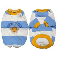 BUZO TERRA ARGENTINA T 1